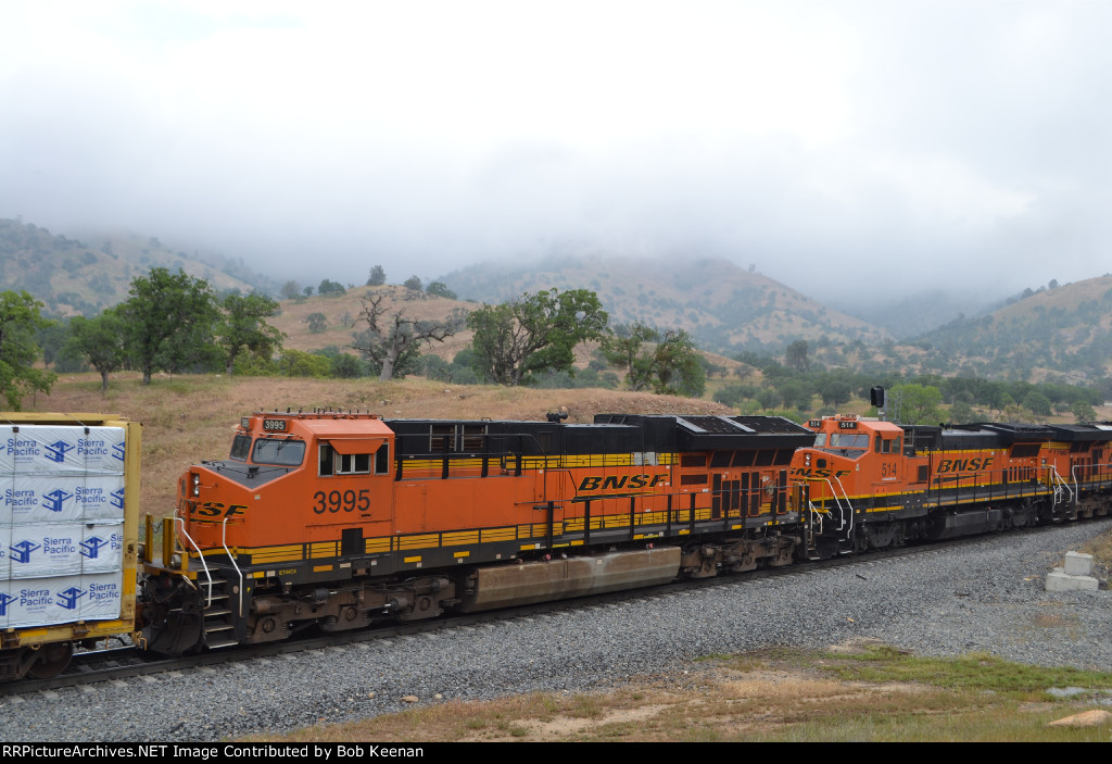 BNSF 3995